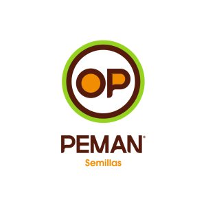 logo-PEMAN-OFICIAL-2020