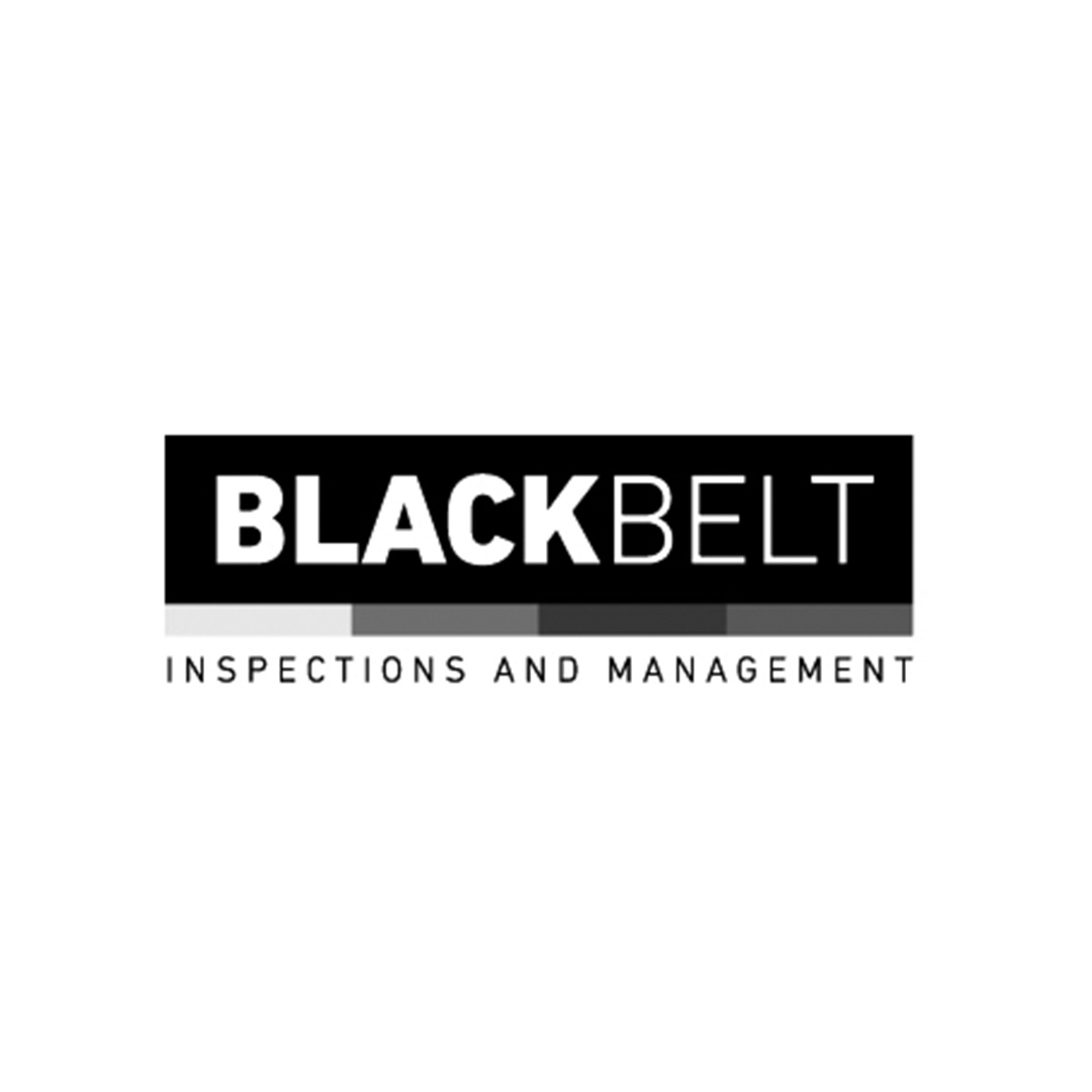 Black Belt Inspections and Management SRL - Ignacio Lazzari