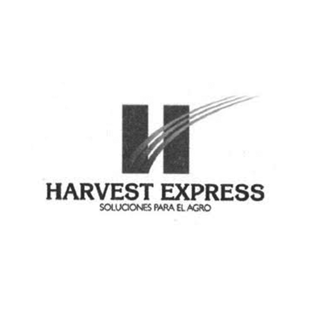 Harvest Express SA - Ignacio Almasqué