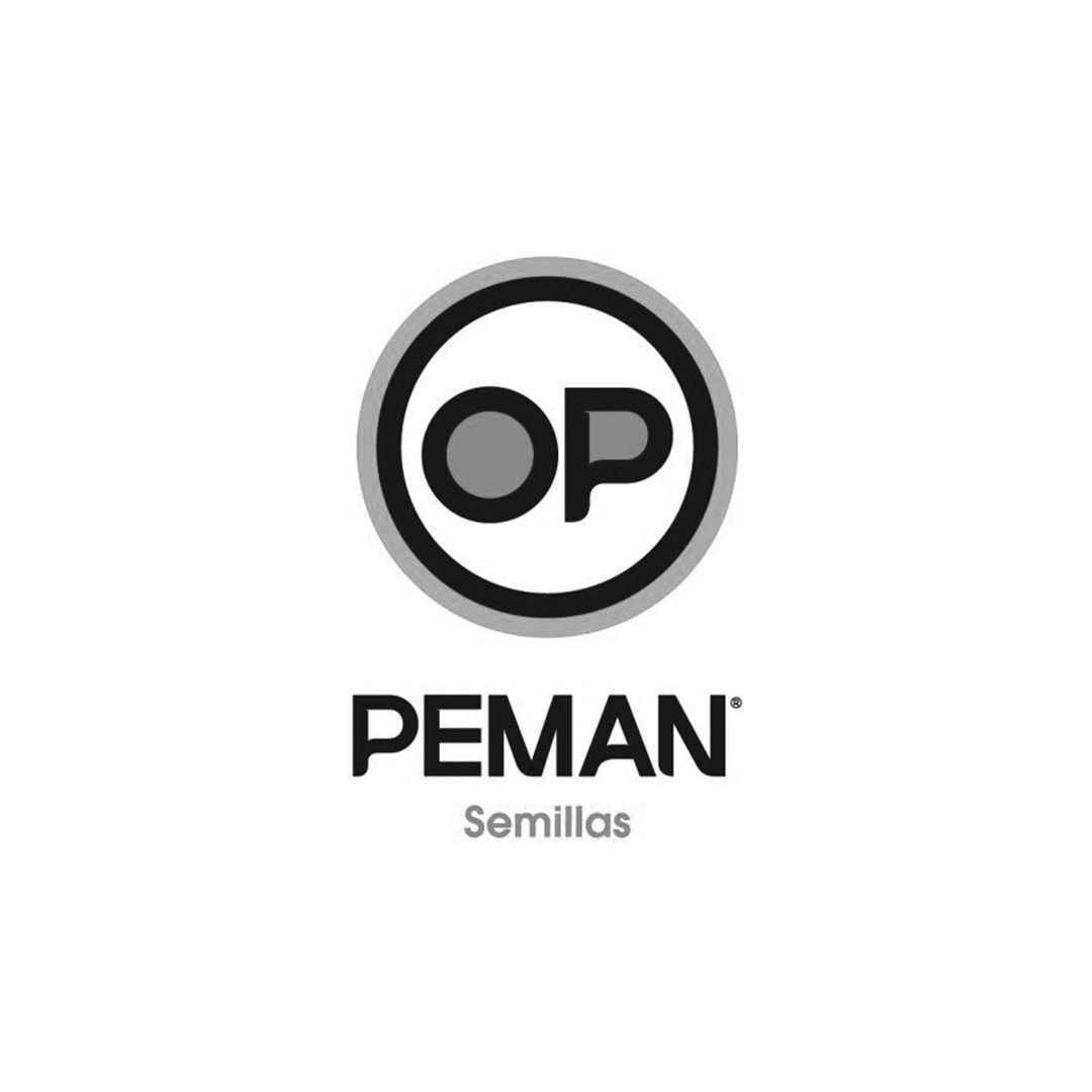 Peman Semillas - Ing. Agr. Bárbara Wulff 