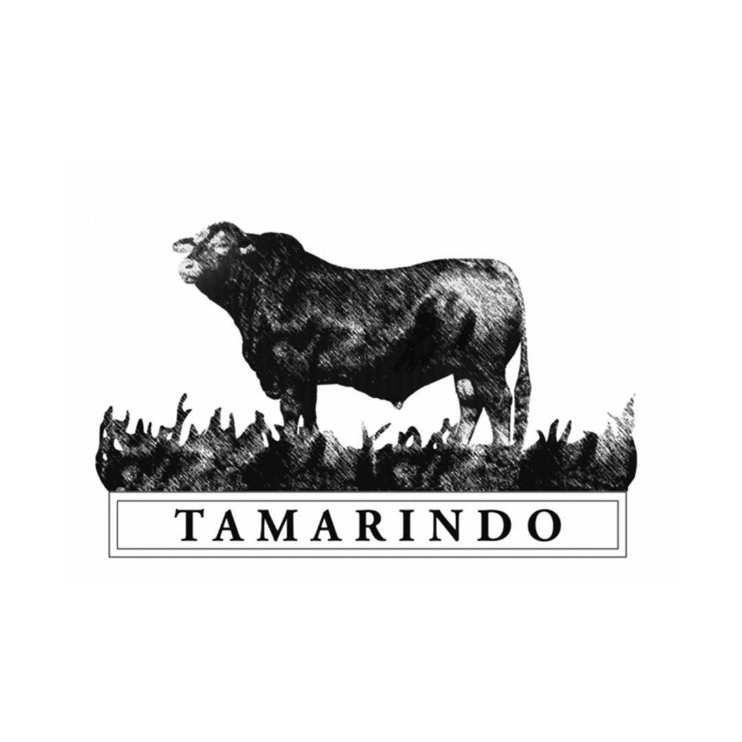 Tamarindo SA - Tres Cruces SA - Mariano Houssay